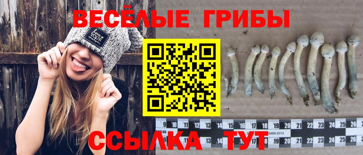 Псилоцибиновые грибы мицелий Карпинск