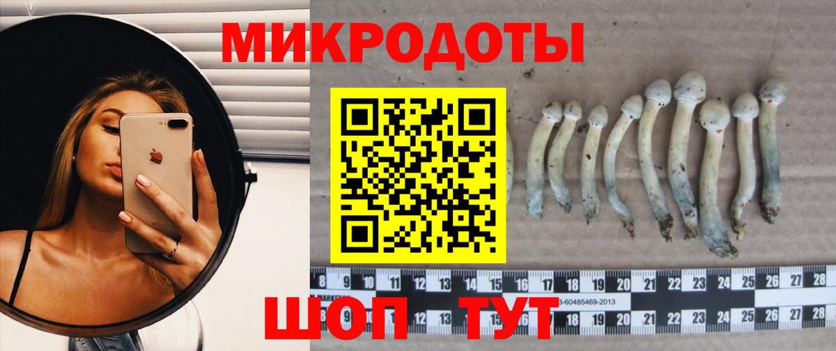 Псилоцибиновые грибы Magic Shrooms  Вход с VPN  Карпинск 